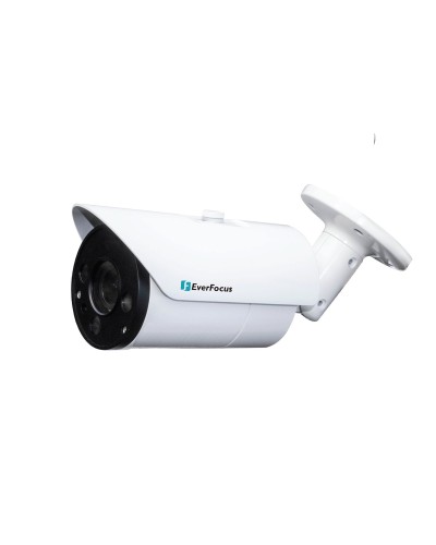 EZN-268V. Видеокамера IP купольная. EverFocus в Сочи