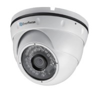 EBN-268. Видеокамера IP купольная. EverFocus