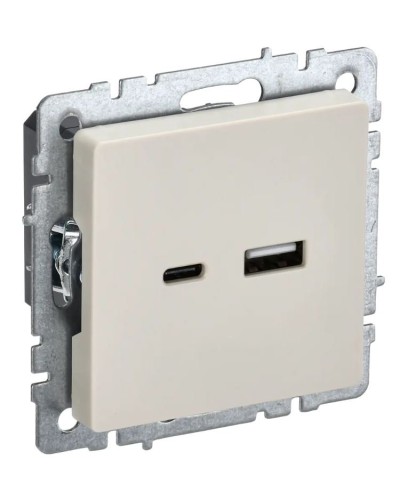 Розетка USB A+C 18Вт РЮ11-1-БрКр бежевый BRITE (BR-U22-018-K10). Розетка USB. IEK в Сочи