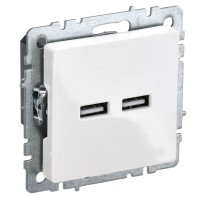 Розетка USB A+A 3,1А РЮ10-1-БрБ белый BRITE (BR-U21-D31-K01). Розетка USB. IEK