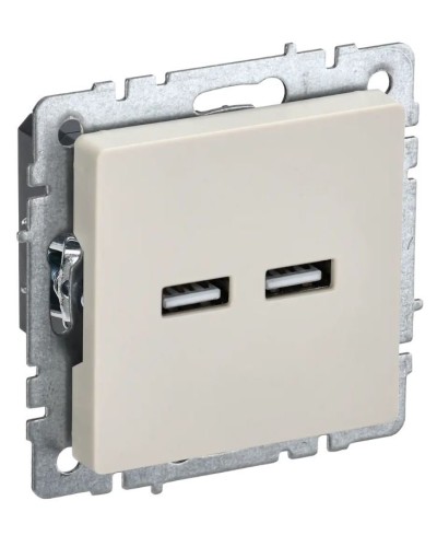 Розетка USB A+A 3,1А РЮ10-1-БрКр бежевый BRITE (BR-U21-D31-K10). Розетка USB. IEK в Сочи