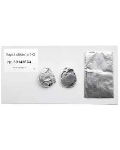 Карта объекта 1+2. Проксимити карта. IronLogic в Сочи
