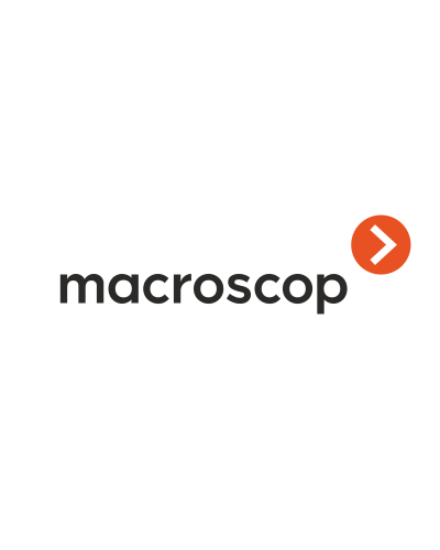 Расширение с LS до ST. Программное обеспечение (опция). MACROSCOP в Сочи