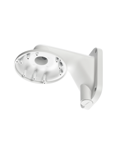 RVi-1BWM-5 white. Кронштейн настенный. RVi в Сочи