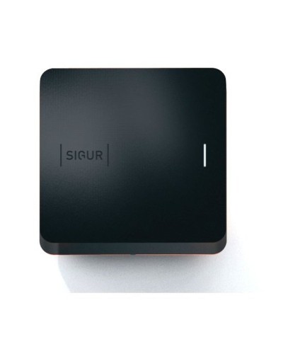Sigur MR100 Multi. Считыватель. SIGUR в Сочи
