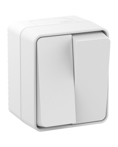 AtlasDesign PROFI54 выключатель 2-клавишный, открытой установки, белый (ATN540151). Выключатель. Systeme Electric в Сочи