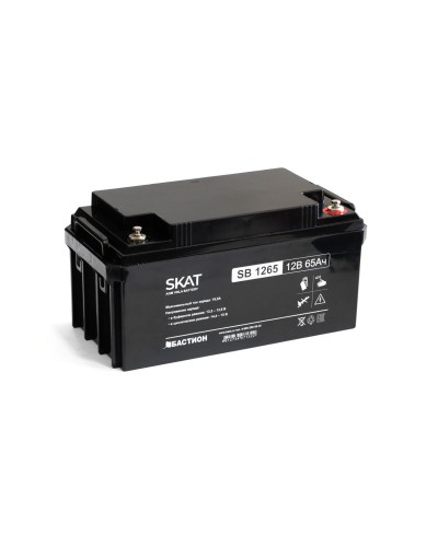SKAT SB 1265 (2541). Аккумулятор герметичный свинцово-кислотный. Бастион в Сочи