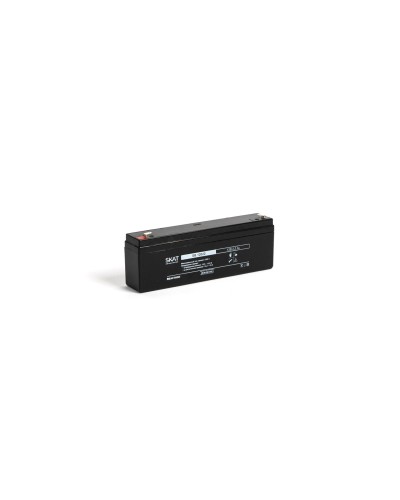 SKAT SB 12022 (2539). Аккумулятор герметичный свинцово-кислотный. Бастион в Сочи