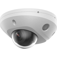 F-IC-2542C2MS(2.8мм). Бюджетная IP-видеокамера купольная. i-FLOW