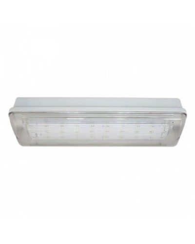 SL-223-30LED1.8 исп.1 IP54. Светильник аварийного освещения. ИП Раченков А.В. в Сочи