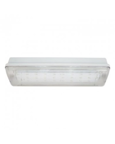 SL-223-30LED1.8 исп. 1, IP65. Светильник аварийного освещения. ИП Раченков А.В. в Сочи
