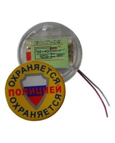 БИГ-09 н.р.. Индикатор прибытия наряда. ПЭАП (Альфатех-Центр) в Сочи