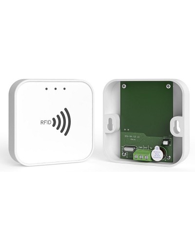 RFID-TM. Считыватель RFID. Ритм в Сочи